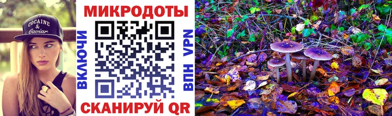 Галлюциногенные грибы Magic Shrooms  где купить   Кострома 