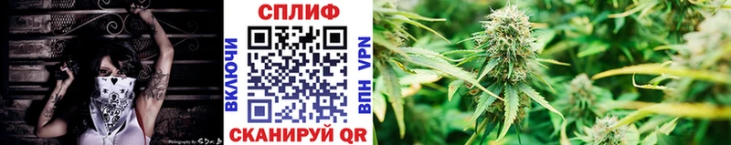 дарнет шоп  KRAKEN ссылка  МАРИХУАНА индика  Кострома 